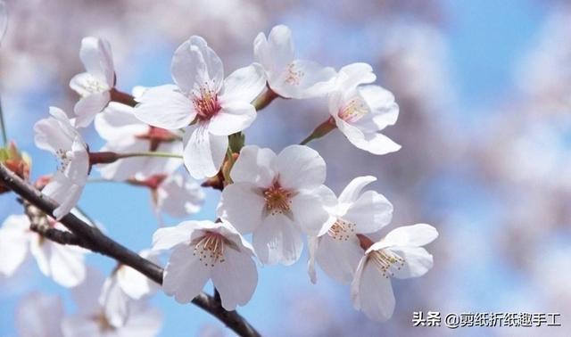 儿童剪纸手工教师节，祝老师们，教师节快乐