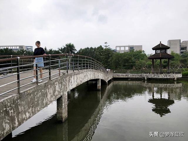 美丽大方的校园，郑州市创新实验学校金桂街校区开展“最美教室”活动