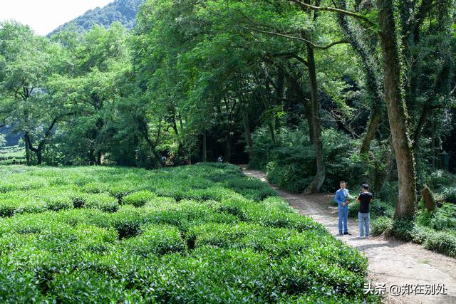 杭州冷门爬山路线，杭州登山路线08最好在这里