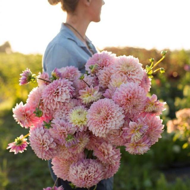 别让自己活得太累，别让自己活得太累的感言（应该学着想开、看淡）