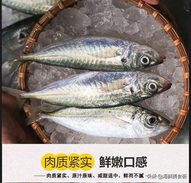 肥胖的鱼仔(胖的鱼有哪些)