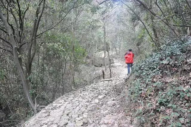 宁波有几个古道可以爬山的，宁波这11条登山健身步道你走过吗