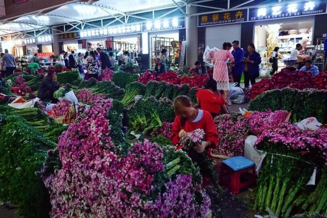 便宜又实惠的鲜花市场，打卡全国最大的鲜花批发市场