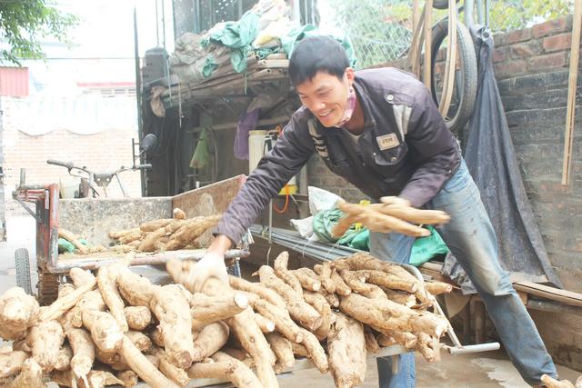 地牯牛多少钱一斤，贵州老农养地牯牛