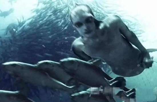 人类发现了美人鱼的秘密，美人鱼是史前地球人类用基因改造的