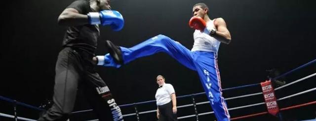 世界ufc格斗流派排名，MMA技术流派观览之UFC中五大跆拳道高手
