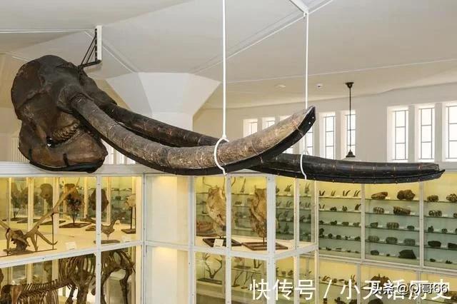 天津历史博物馆，天津有哪些值得去的博物馆