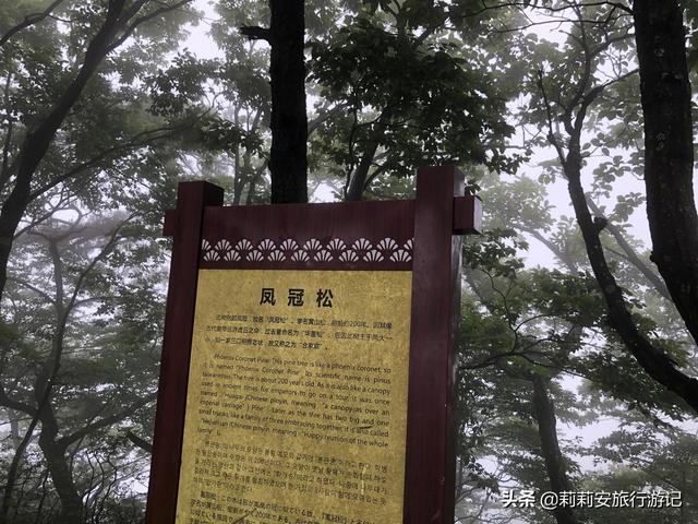 徒步南迦巴瓦峰最佳观景台，雾中徒步薄刀峰