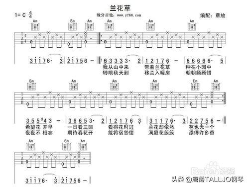 吉他教学入门零基础新手第一课，吉他基础教程入门知识