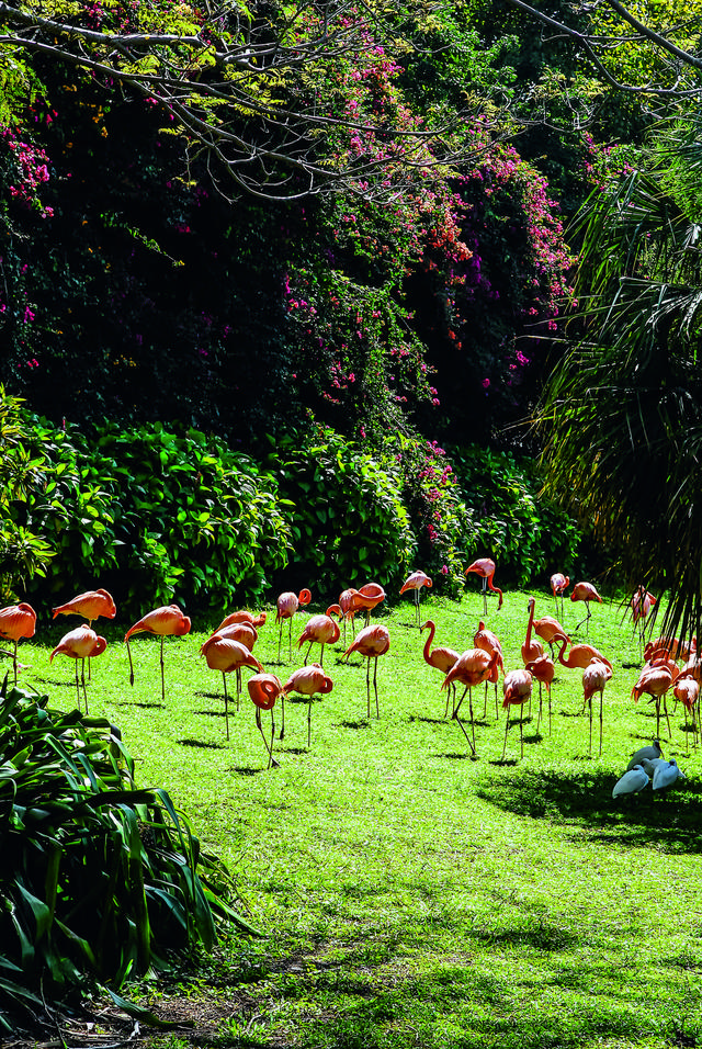 迈阿密旅游攻略，迈阿密旅游详细攻略（美丽的迈阿密是个怎样的地方）