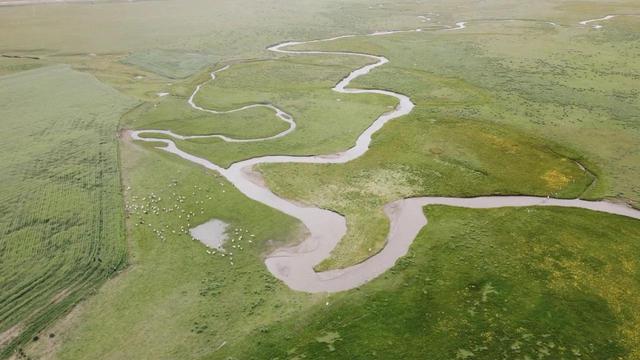 青海湖几月份看油菜花，青海湖旅游的最佳季节来了