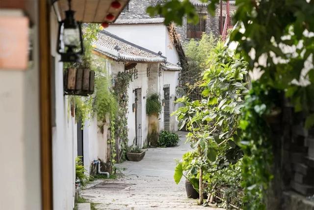 深圳游玩攻略必去的地方免费，7个遛娃好去处全免费