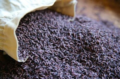 贵比黄金的紫色大米，大米是怎么种植出来的