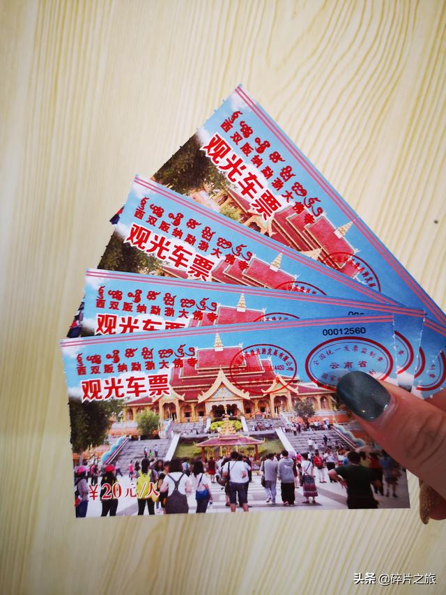 这个夏天总要来一趟西双版纳，追寻自然的呼吸