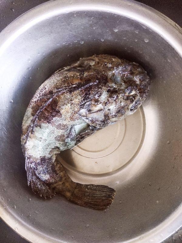 好养的淡水食用鱼，中国十种常见的食用鱼