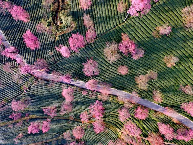 云南这条公路曾拯救国家于危难中，云南最危险的三条公路