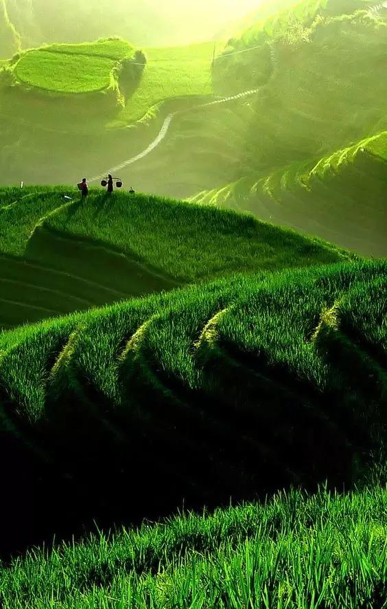 三月最值得去的旅游地方，9大绝美春色旅行地