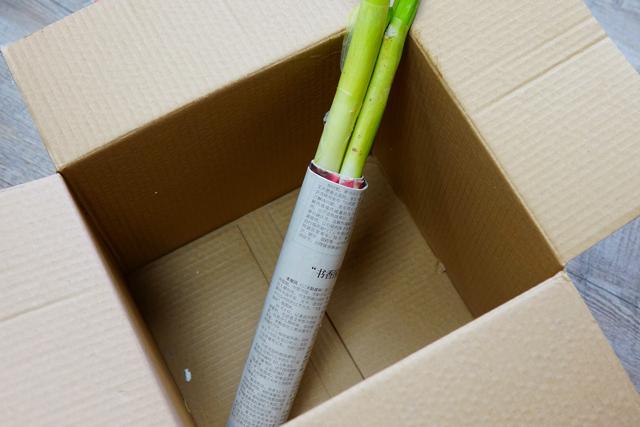 冬天怎样保存大葱不烂，教你3个好办法