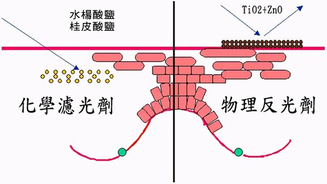 简单的美白方法，最简单有效的12个美白方法（亲测最快速有效的美白方法）