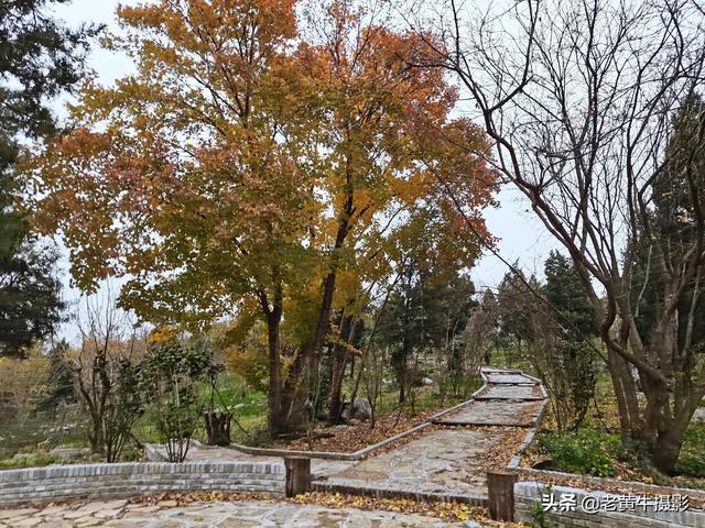 京山青龙山风景区在哪，京山青龙山，生态美景看不够