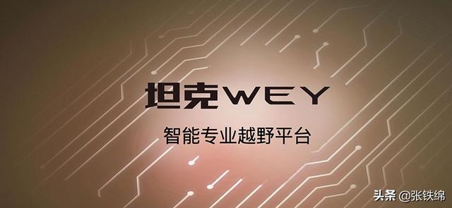 WEY硬派越野定名坦克300，wey越野车型