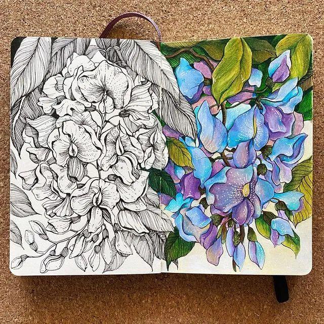 妙笔生花水墨画教程，教科书级别的植物线描