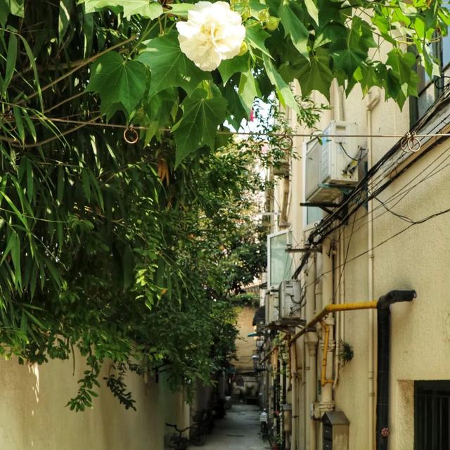 上海的老洋房故事，上海一幢70余年历史老洋房引发官司