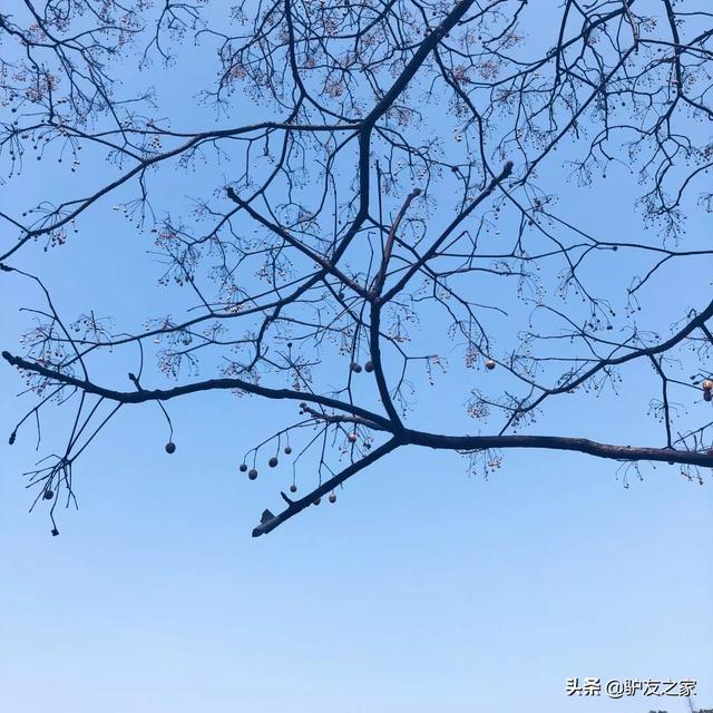 莫干山有什么景点值得去看，莫干山景点介绍