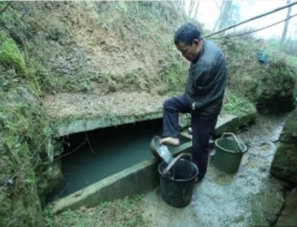 陈星银颁奖典礼，含勺喂母感天动地