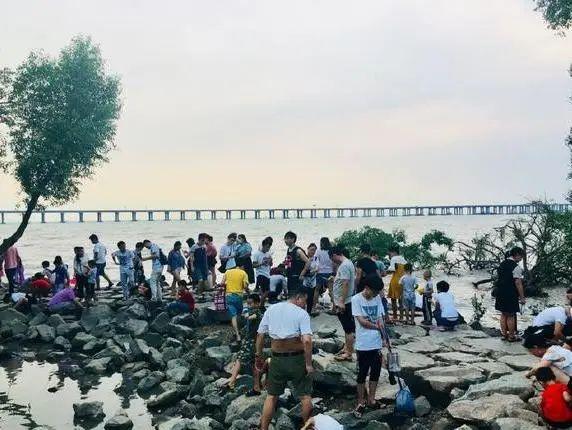 深圳宝安最美打卡点，深圳西湾红树林攻略