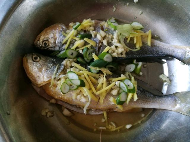 黄花鱼能清蒸吗，黄花鱼清蒸简单做法（黄花鱼最简单的做法“清蒸黄花鱼”）
