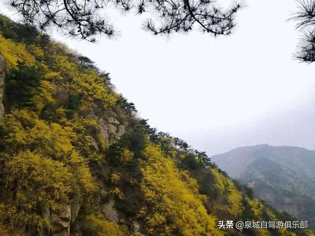 济南可爬的山有哪些，济南这些风光绝美的山峰