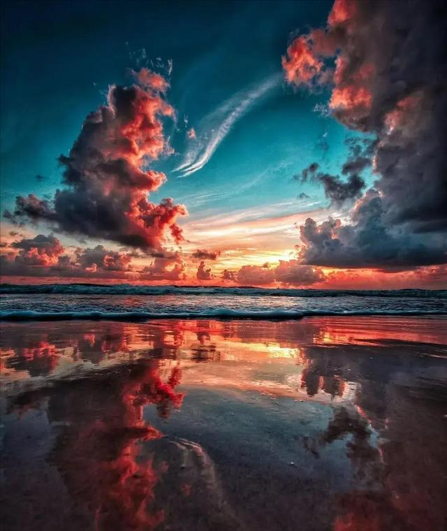 道德经悟道技巧，树袋熊大话助读《道德经》第十六章