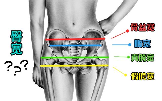 如何区分真胯宽还是假胯宽，这几个动作可以解决
