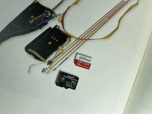 大华存储官网，暑期大放价，大华存储PCIe