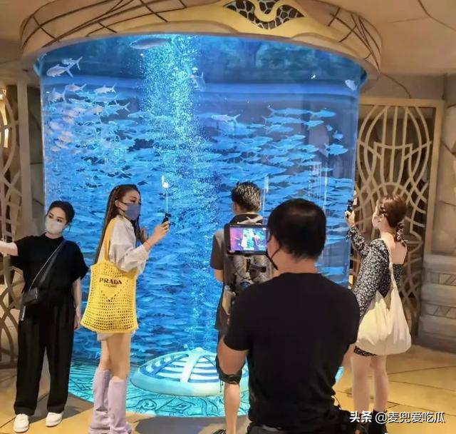 谢霆锋最新消息，谢霆锋容祖儿最新消息（42岁谢霆锋变最强恋爱脑）