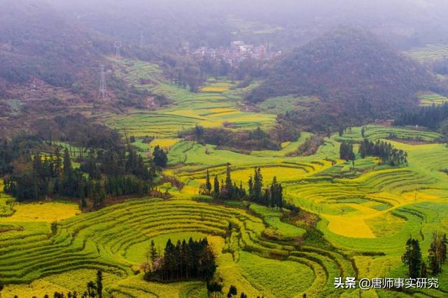 罗平旅游景点大全，曲靖罗平旅游景点大全（中国最美四季游之春季：罗平）