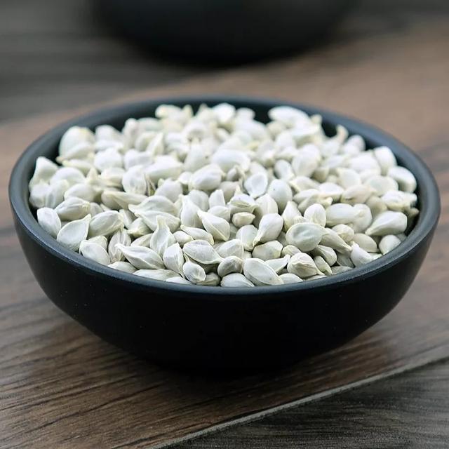 橘子籽如何种出来，吃橘子剩下的籽不要扔