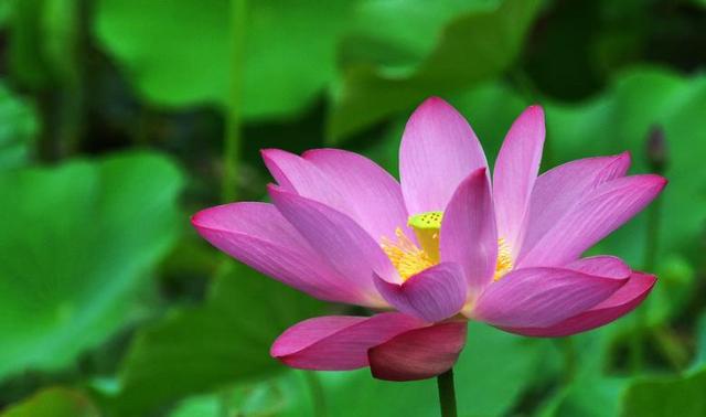 人生的高峰时期与低谷时期，决定了人生的格局