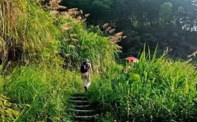 芜湖景点有哪些值得去玩的，芜湖必去的景点（这里经典必游的六个地方）