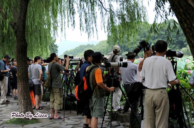 新鲜的莲子有哪些做法，这几款莲子食疗方可以常吃