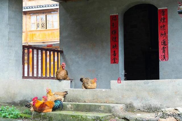 广西苗族侗寨，广西唯一的侗族县