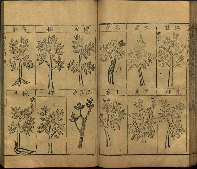 本草纲目全书带图，李时珍本草纲目全书（李时珍著《本草纲目》附图卷）