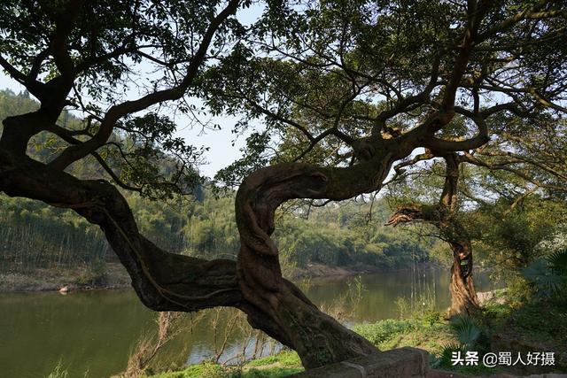 四川五一冷门古镇，国庆黄金周别去添堵