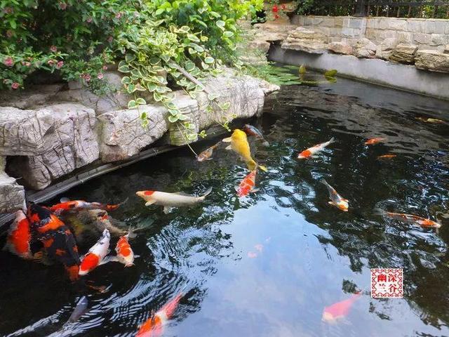 庭院水景观怎么设计，庭院中式元素—叠水