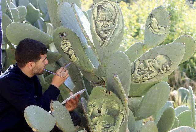 所有国家的代表性花，北美洲国家国花象征代表