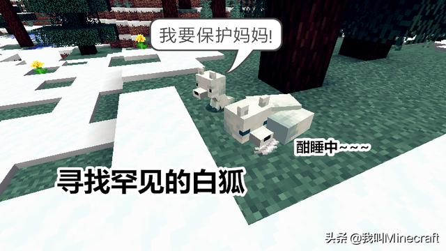 我的世界狐狸的特性，我的世界新版来袭