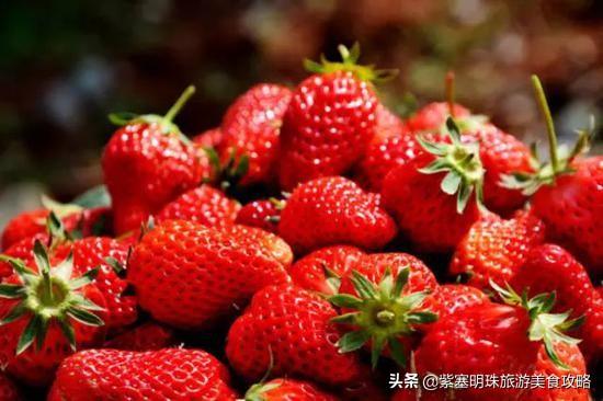 北京小湯山草莓采摘，昌平頭茬草莓成熟上市