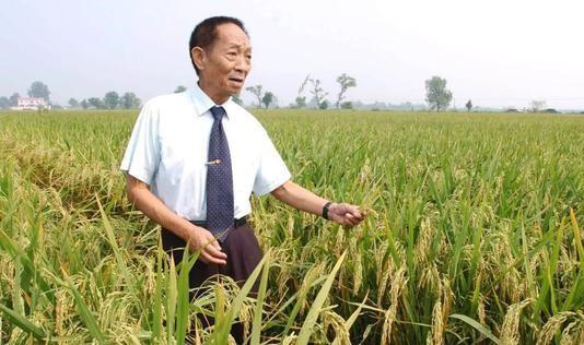 袁隆平什么时候去世的，袁隆平老先生于5.22日去世