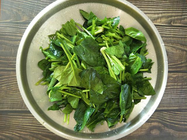 菠菜需要焯水吗，素炒菠菜不焯水可以吗（酒店的凉拌菠菜为什么那么好吃过瘾）